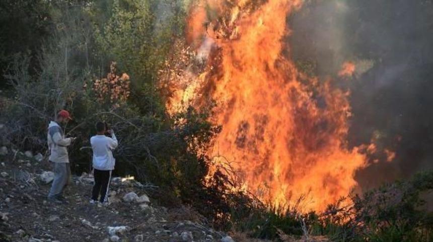 Mersin'de 70 D&ouml;n&uuml;ml&uuml;k Orman K&uuml;l Oldu