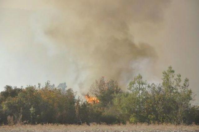 Mersin'de 70 Dönümlük Orman Kül Oldu