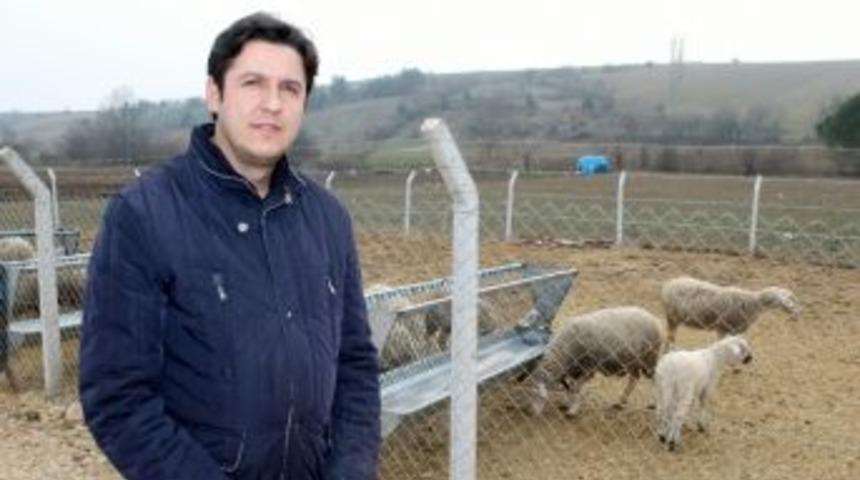 Kuzuları Anne S&uuml;t&uuml; Hayatta Tutuyor