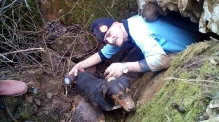 İtfaiye, Kayalıklara Sıkışan K&ouml;peği Kurtardı