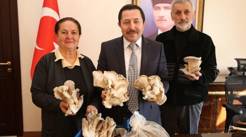 &Ccedil;ift&ccedil;i &Ccedil;iftin Azmi