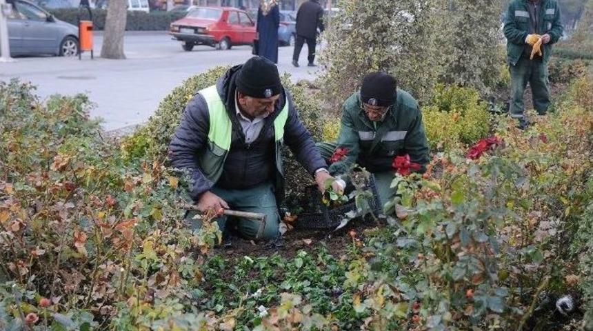 &Ccedil;orum Belediyesi Kenti Mevsimlik &Ccedil;i&ccedil;eklerle S&uuml;sl&uuml;yor
