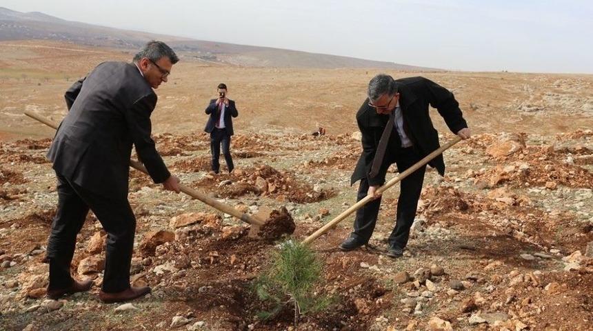 Gaski&rsquo;den Bir Proje Daha