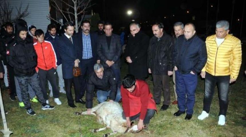 Tokatspor Başarı I&ccedil;in Kurban Kesti