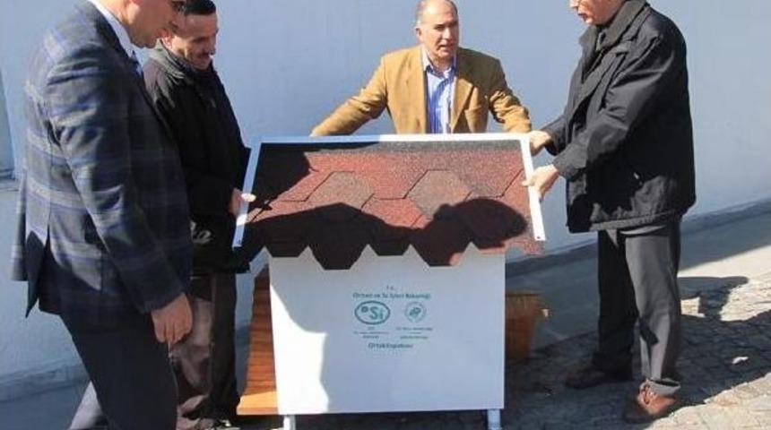 Kedilere Sıcak Yuva