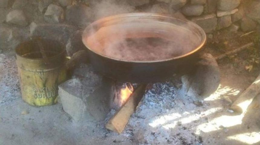 Pekmez K&ouml;p&uuml;ğ&uuml; Kan Yapıyor