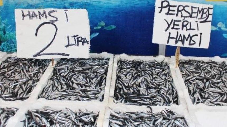 Hamsi 2 Tl&rsquo;ye D&uuml;şt&uuml;, Vatandaş Tezgaha Koştu