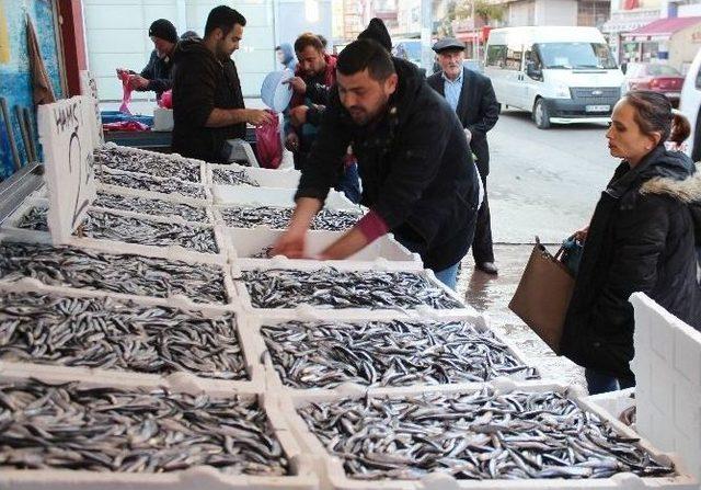 Hamsi 2 Tl’ye Düştü, Vatandaş Tezgaha Koştu