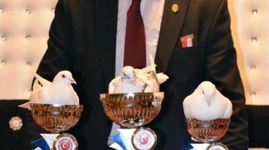 G&uuml;vercinler 'hava Kuşu' Yarışmasında