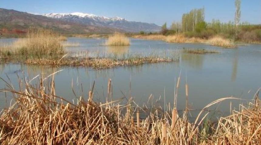 Kamış&ccedil;ın Kuşu 17 &Uuml;lke Gezdi