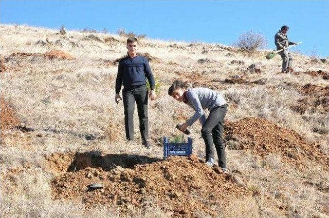 Gölbaşı İlçesinde Öğrenciler Fidan Dikti