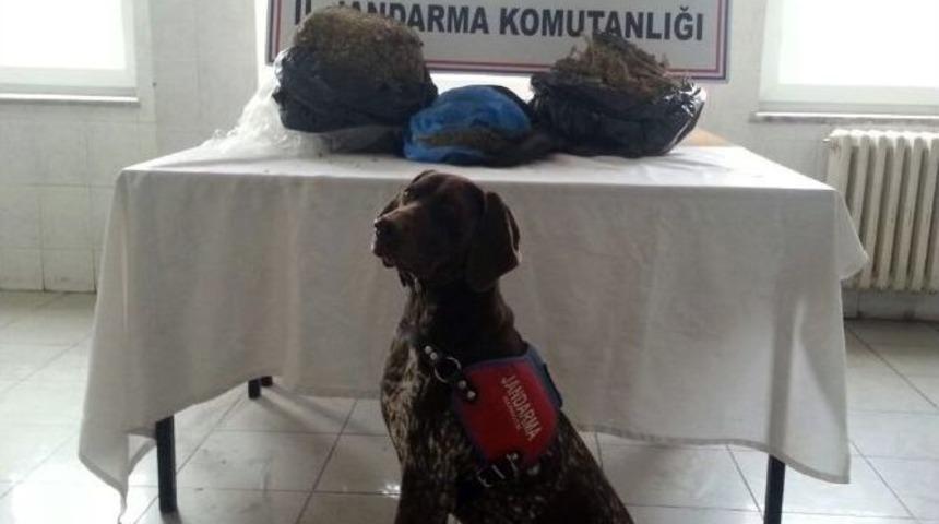Sakarya&rsquo;da 13 Kilogram Kubar Esrar Ele Ge&ccedil;irildi