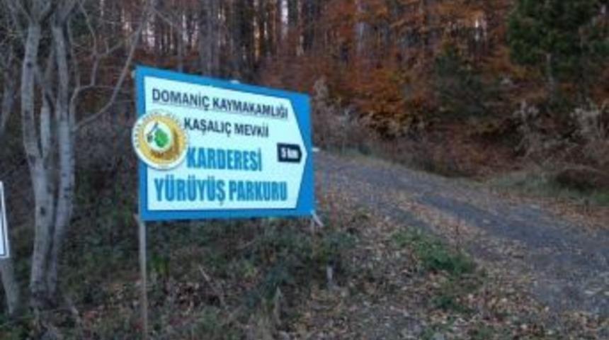 Domani&ccedil;&rsquo;e Y&uuml;r&uuml;y&uuml;ş Yolu