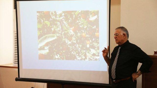 Urla’da Goji Berry Zirvesi