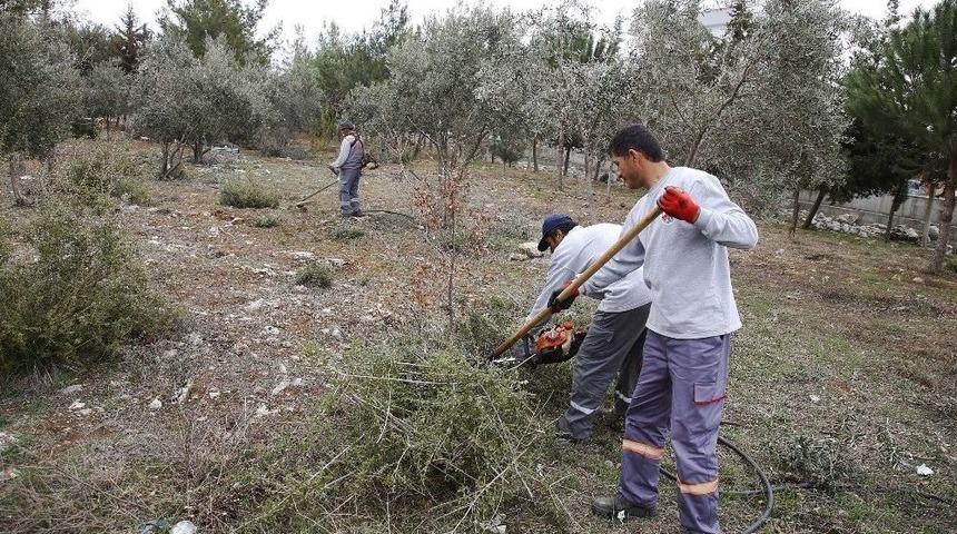 D&ouml;şemealtı Belediyesi&rsquo;nden Okul Bah&ccedil;elerinde Bahar Temizliği