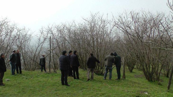 Külleme Hastalığına Karşı Fındık Bahçesinde Uygulamalı Eğitim G1
