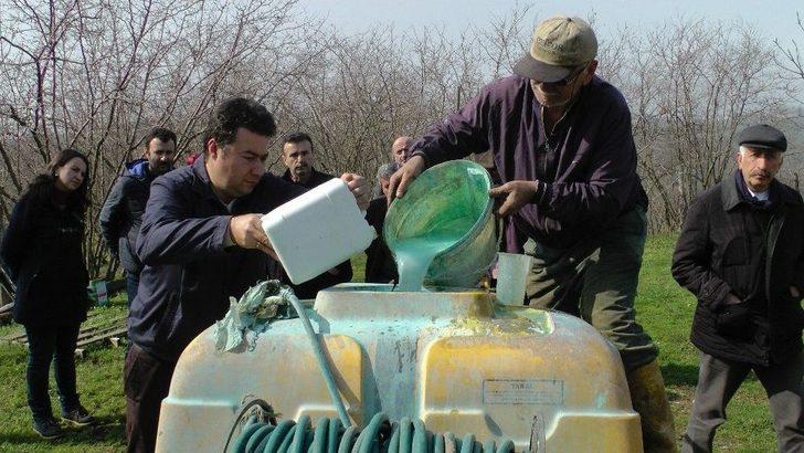 Külleme Hastalığına Karşı Fındık Bahçesinde Uygulamalı Eğitim G2