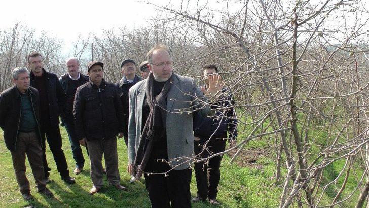 Külleme Hastalığına Karşı Fındık Bahçesinde Uygulamalı Eğitim G3