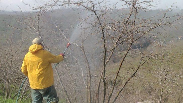 Külleme Hastalığına Karşı Fındık Bahçesinde Uygulamalı Eğitim G4