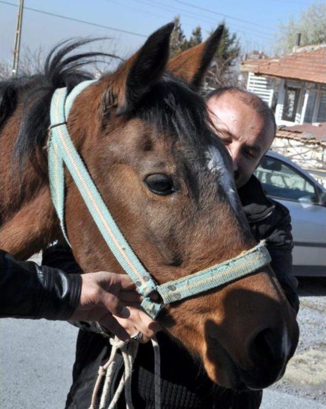 Engelli Öğrencilerin 'hazal' Sevinci