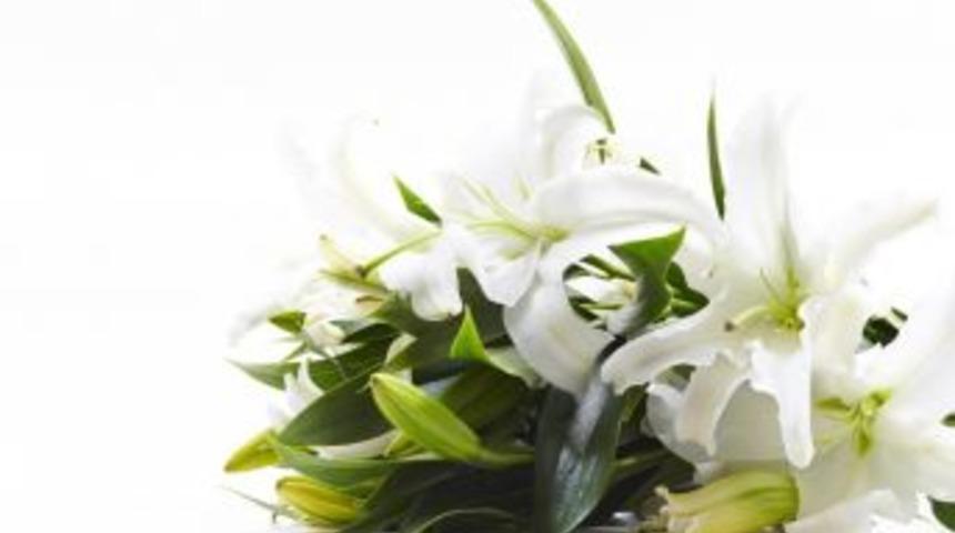 "kadınlar G&uuml;n&uuml;&rsquo;n&uuml;n Favori &Ccedil;i&ccedil;eği; Lilyum"