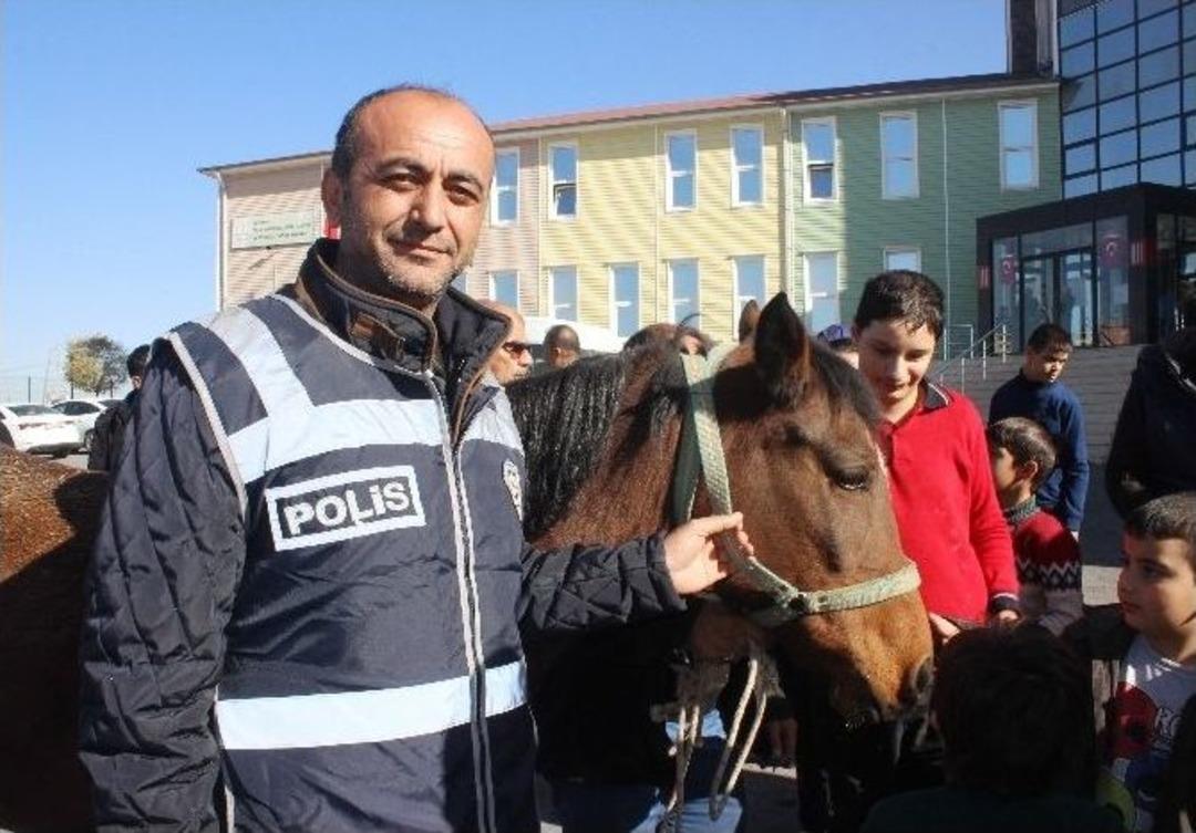 Rehabilitasyon Merkezinden &Ccedil;alınan &rsquo;hazal&rsquo; At Bulundu