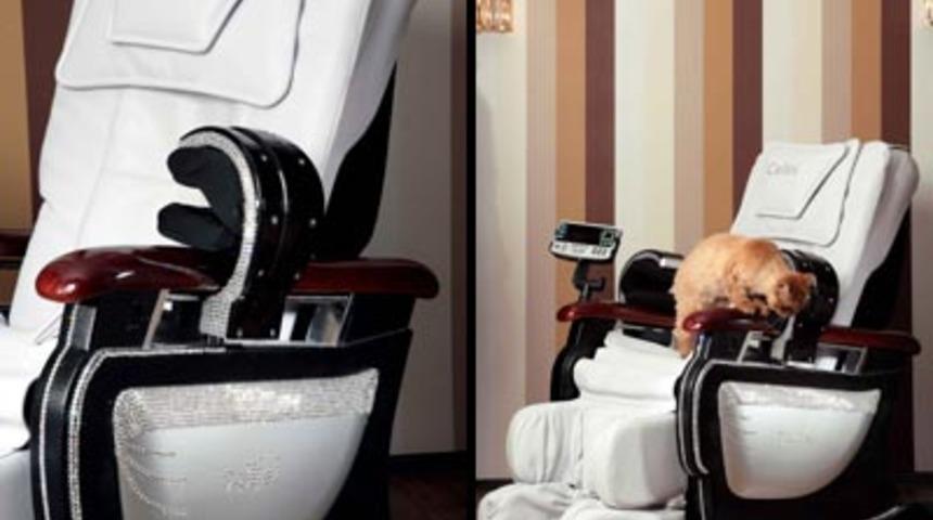 Sel&uuml;lit Koltuğu