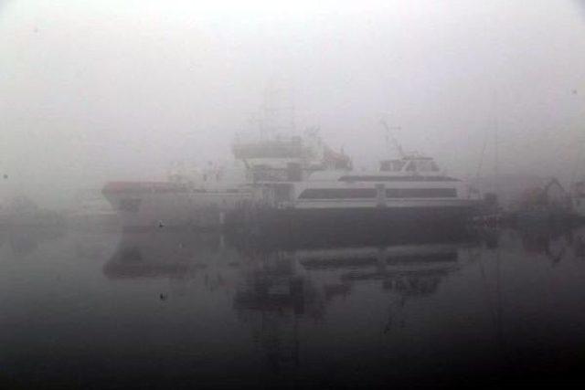 İzmit K&ouml;rfezi nde Deniz Ulaşımına Sis Engeli 2