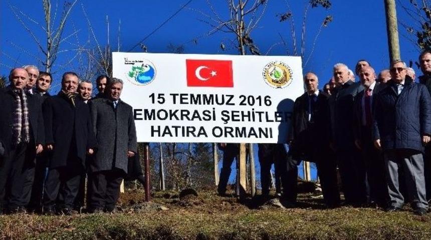 Giresun&rsquo;da &lsquo;15 Temmuz Şehitler Hatıra Ormanı&rsquo; T&ouml;renle A&ccedil;ıldı.