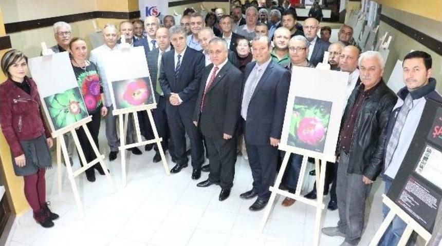 Konder&rsquo;den Şakayık Sergisi