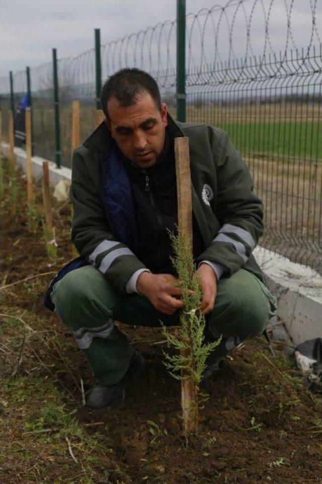 650 Fidan Toprakla Buluştu