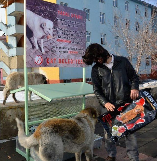 Çat Belediyesinden Sokak Hayvanları İçin Mama İstasyonu