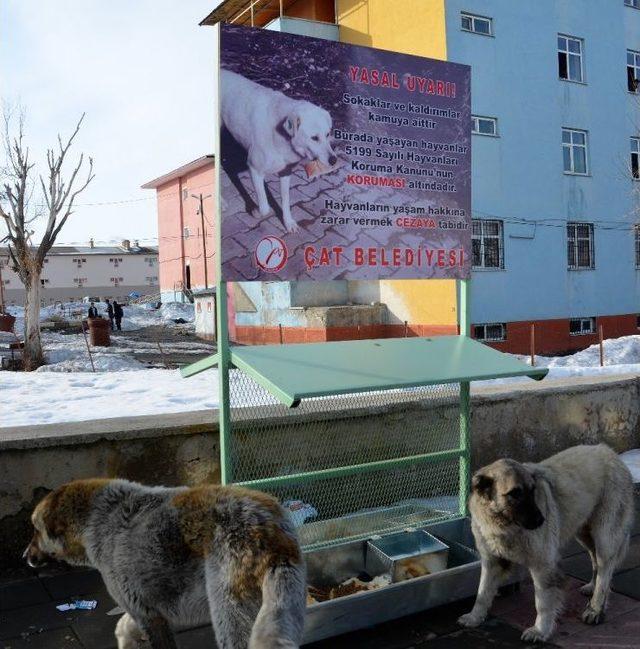 Çat Belediyesinden Sokak Hayvanları İçin Mama İstasyonu