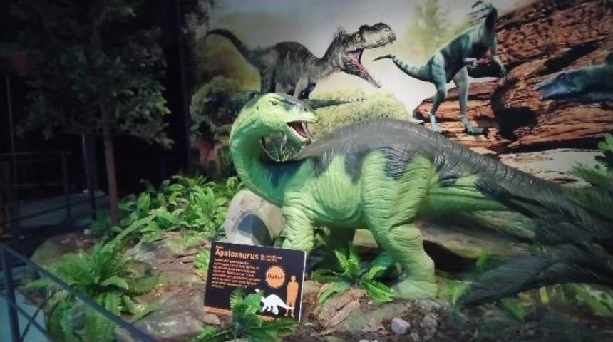 Miniklerin &lsquo;dinozor&rsquo; Aşkı