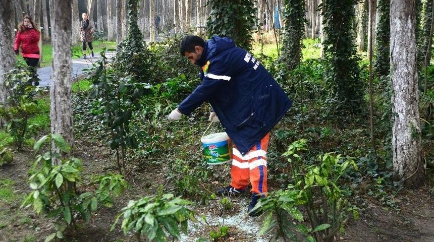 Beylikd&uuml;z&uuml;&rsquo;n&uuml;n Bitki &Ouml;rt&uuml;s&uuml; Bakımda