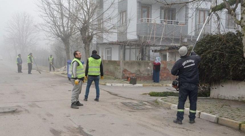 K&ouml;rfez Belediyesi&rsquo;den Ağa&ccedil; Budama Ve Asfaltlama &Ccedil;alışması