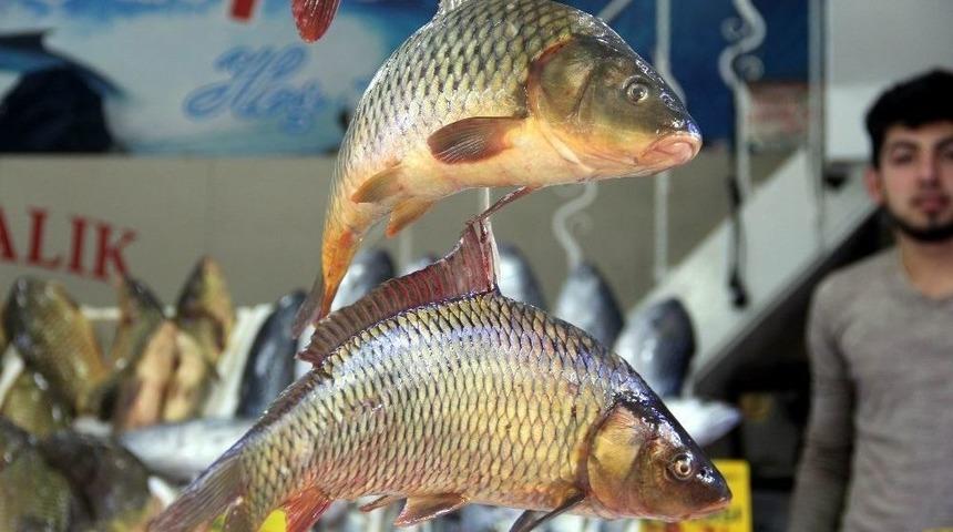 Balık Fiyatları D&uuml;şt&uuml; Ama Kalkan Hala Cep Yakıyor