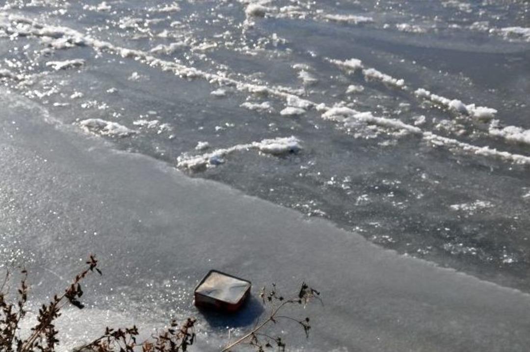 Kars &Ccedil;ayı Aşırı Soğuktan Bir G&uuml;nde Doğdu