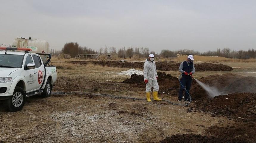 Niğde Belediyesi Sinekle M&uuml;cadeleye Başladı
