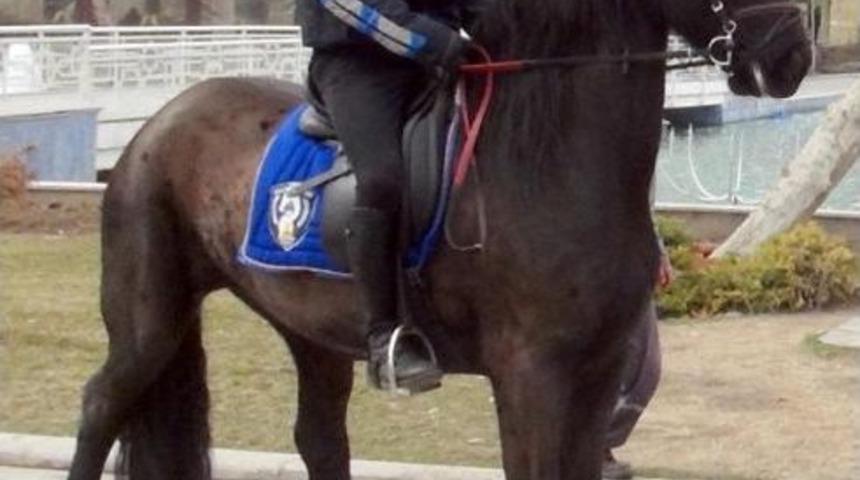 T&uuml;rkiye&rsquo;Nin Ilk 'atlı Zabıta Birliği' Konya&rsquo;Da G&ouml;reve Başladı