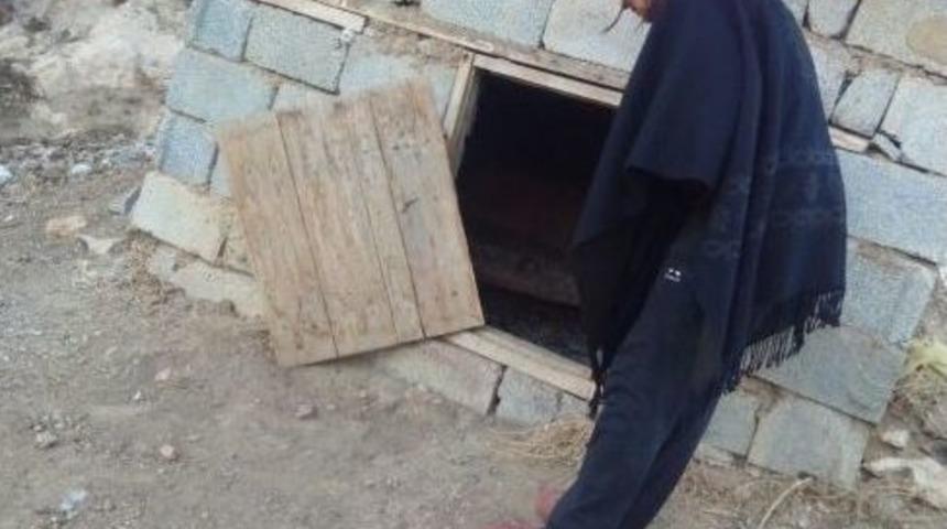 Hırsızların Dadandığı K&ouml;yde Bir Gecede 80 Hindi &Ccedil;alındı