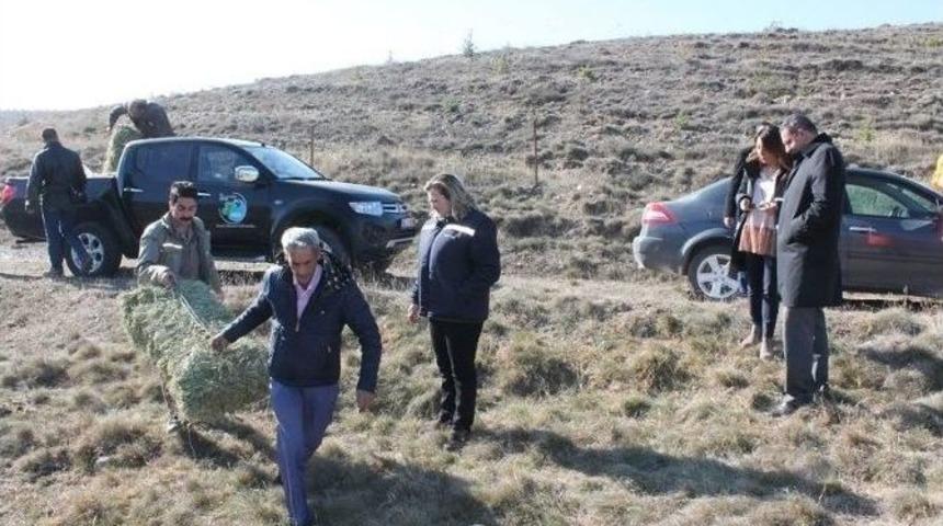 Yaban Hayvanları Unutulmadı