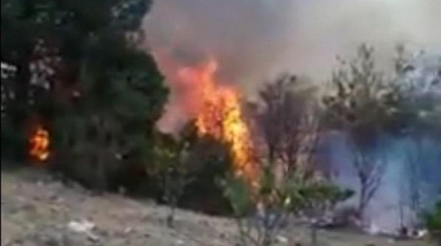 Payas&rsquo;ta Orman Yangını