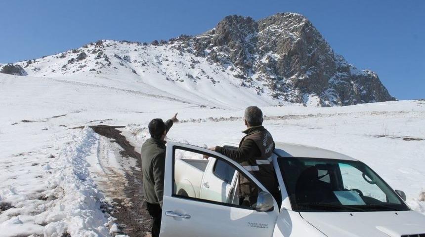 Kaya Kartalı Tedavi Altına Alındı
