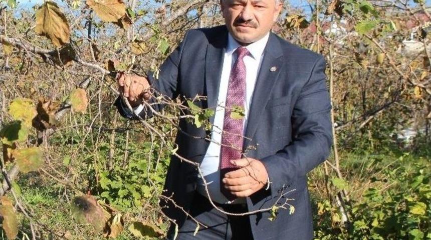 Soydan: &ldquo;&uuml;reticiyi Korkutursak Kalite D&uuml;şer&rdquo;