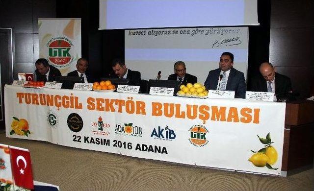 Turunçgil Sektörü Adana’da Buluştu, Sorunlarını Konuştu