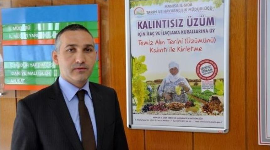 &Uuml;z&uuml;mde Zirai İla&ccedil; Kalıntısı Sıfıra İndi