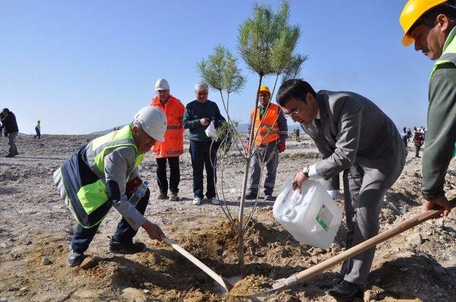 Milas’ta Fethi Sekin Hatıra Ormanı Oluşturuldu