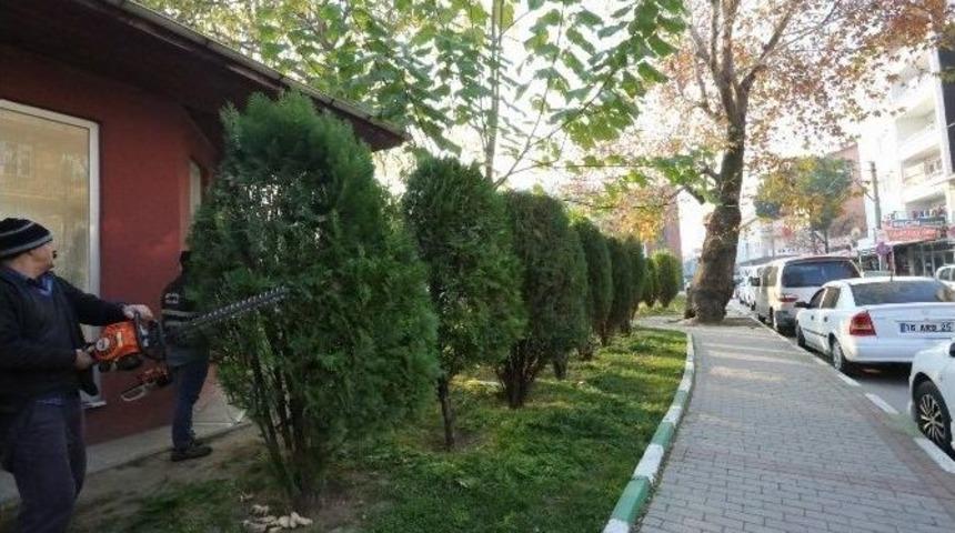 G&uuml;rsu&rsquo;nun Vitrini G&uuml;zelleşiyor