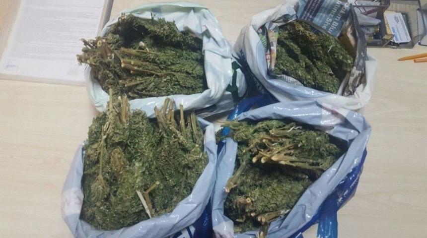 Manavgat&rsquo;ta Uyuşturucu Operasyonları